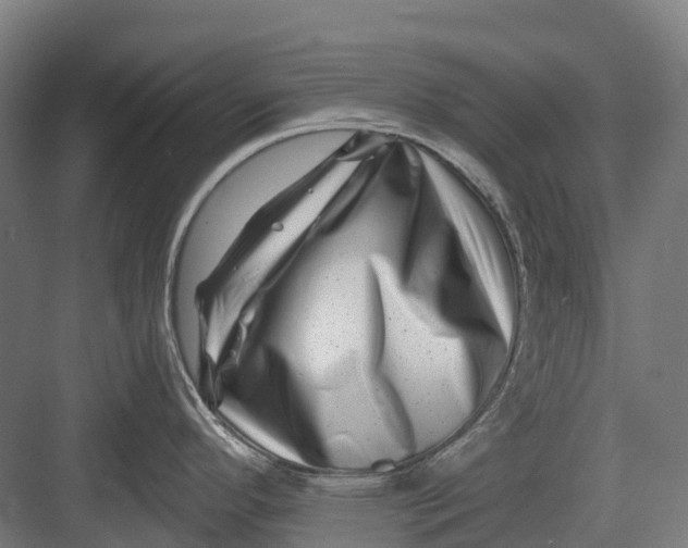 X0000082711296200702161806