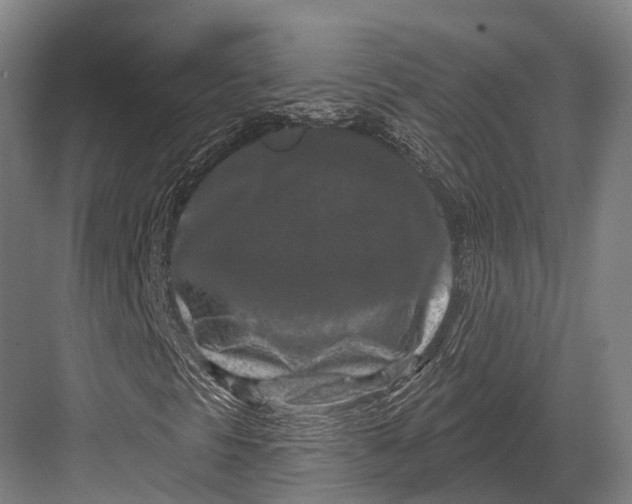 X0000082711297200702161805