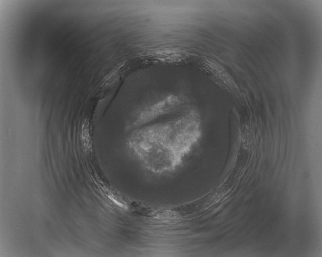 X0000082711298200702161805