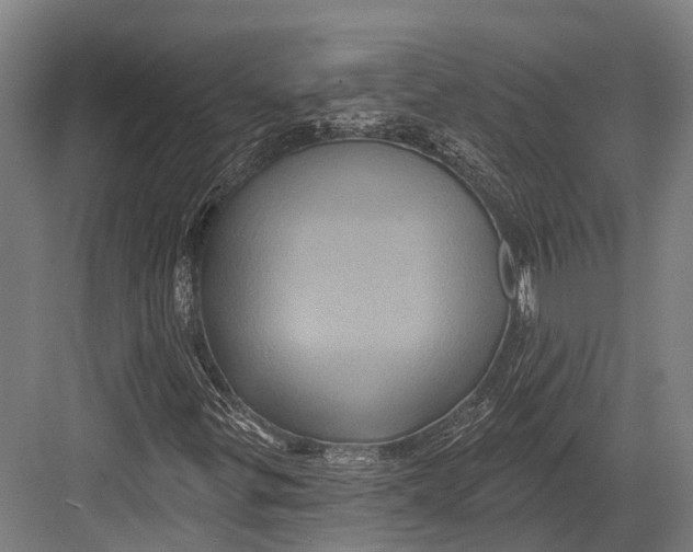 X0000082711299200702161805