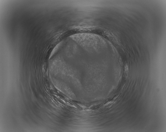 X0000082711300200702161805