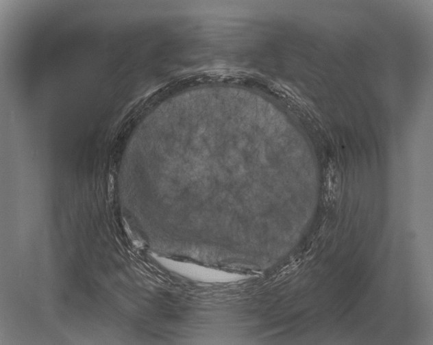 X0000082711302200702161805