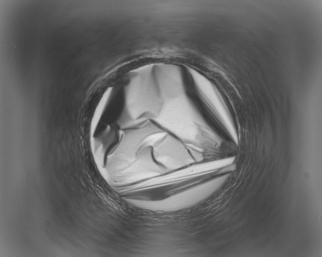 X0000082711304200702161805