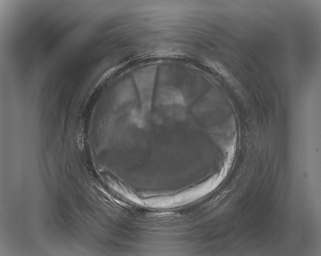 X0000082711306200702161805