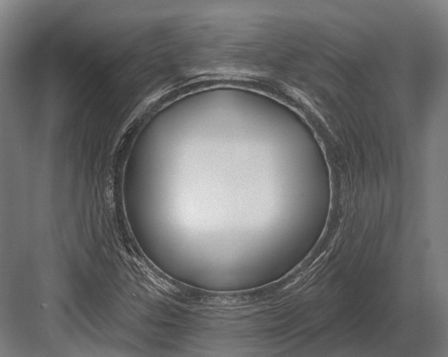 X0000082711307200702161805