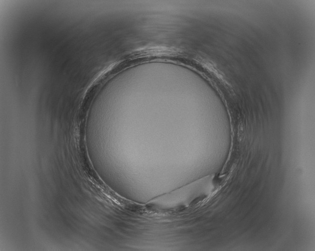 X0000082711309200702161805