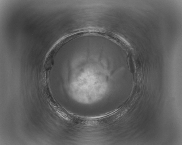 X0000082711310200702161805