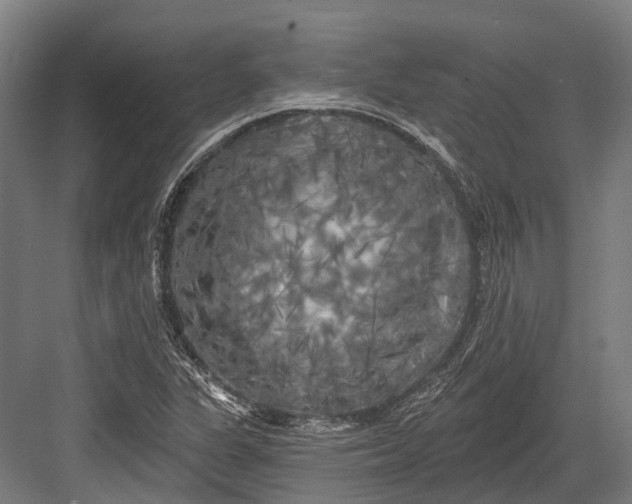 X0000082711311200702161805