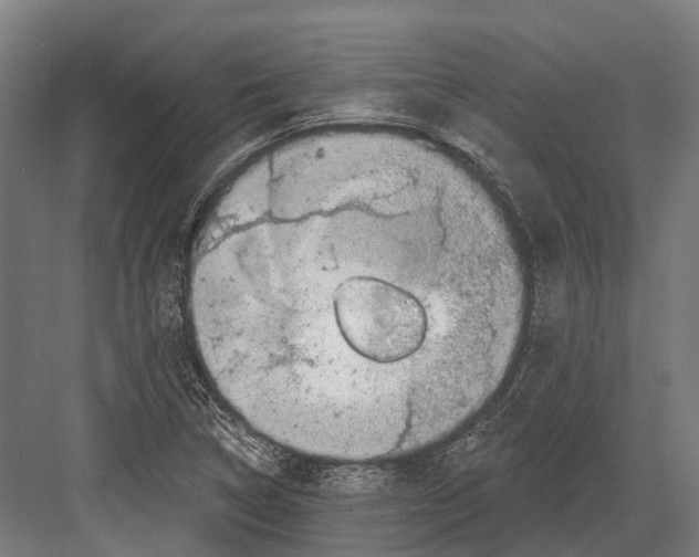 X0000082711314200702161805