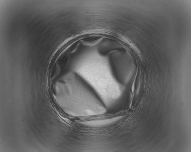 X0000082711316200702161805