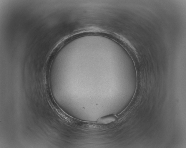 X0000082711318200702161805