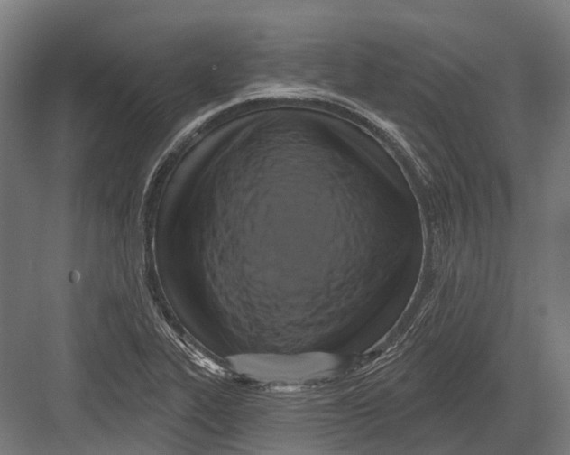 X0000082711319200702161805