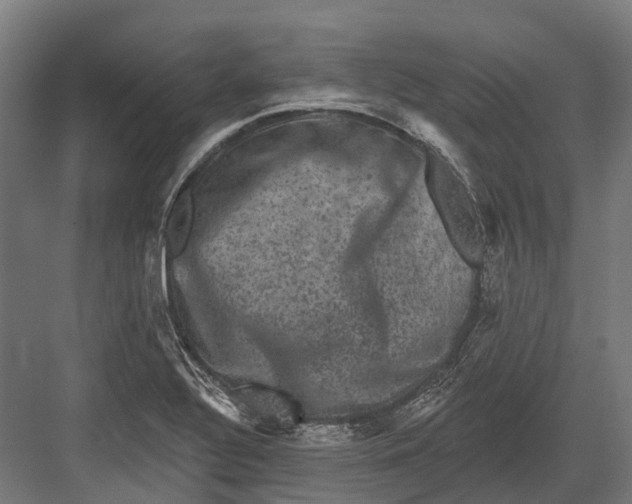 X0000082711320200702161805