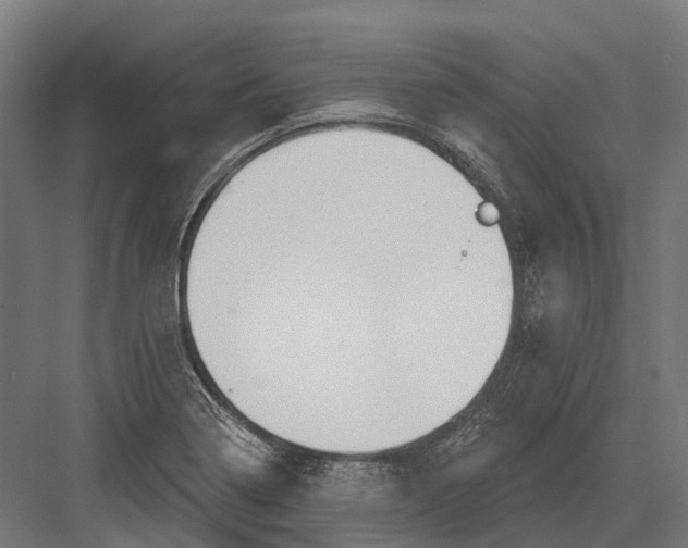 X0000082711322200702161805