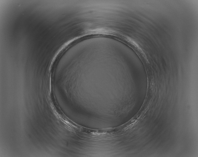 X0000082711323200702161805