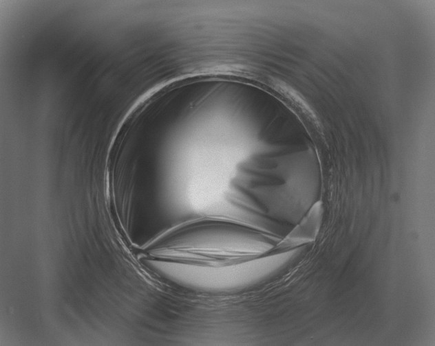 X0000082711324200702161805