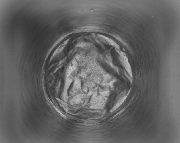 X0000082711325200702161805