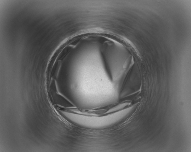 X0000082711326200702161805