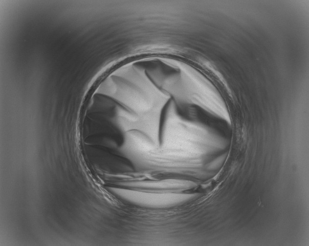 X0000082711328200702161805