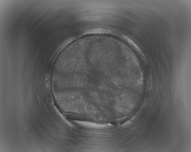 X0000082711329200702161805