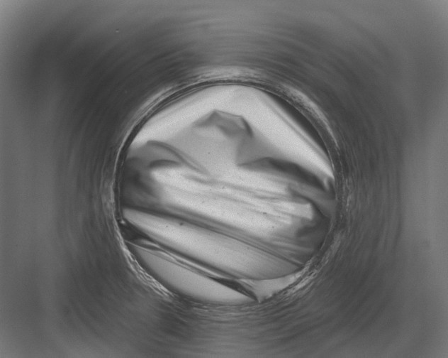 X0000082711330200702161805