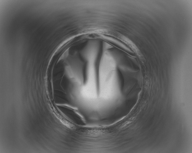 X0000082711332200702161805