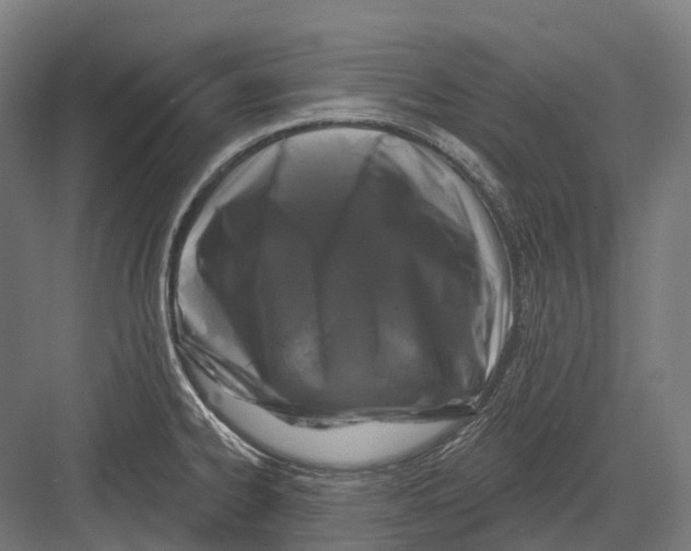 X0000082711334200702161806