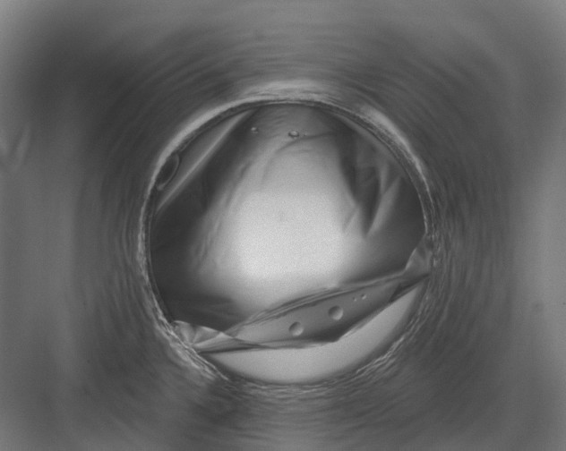 X0000082711336200702161806