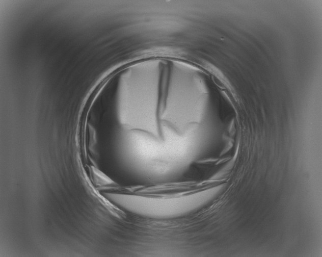 X0000082711339200702161806