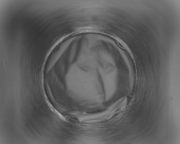 X0000082711341200702161806