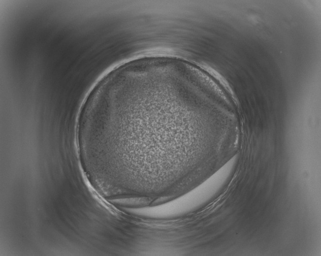 X0000082711342200702161806