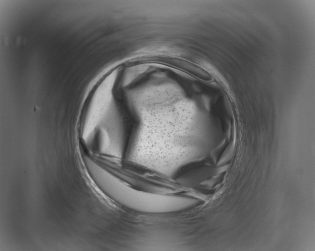 X0000082711344200702161806