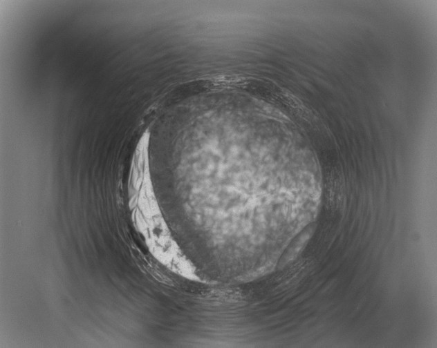 X0000082711346200702161805