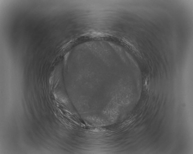 X0000082711348200702161805