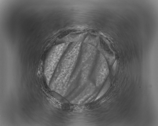 X0000082711349200702161805