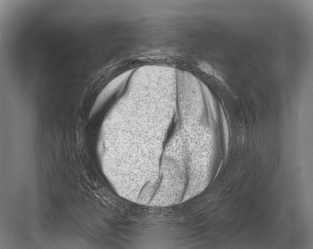 X0000082711350200702161805