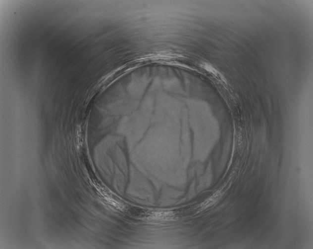 X0000082711353200702161805