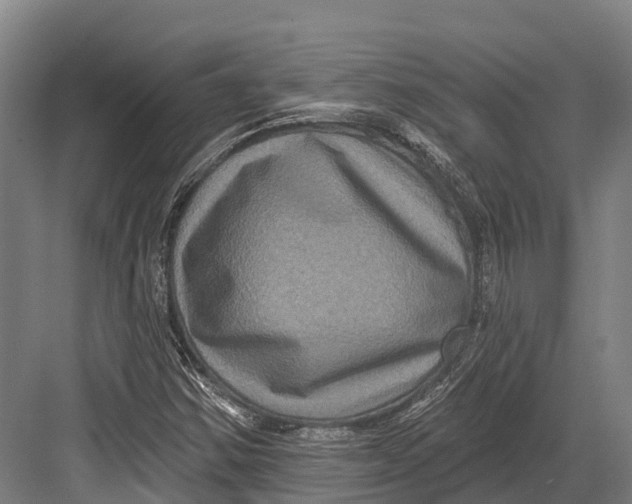 X0000082711354200702161805