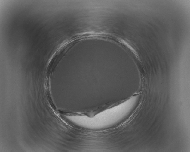 X0000082711357200702161805