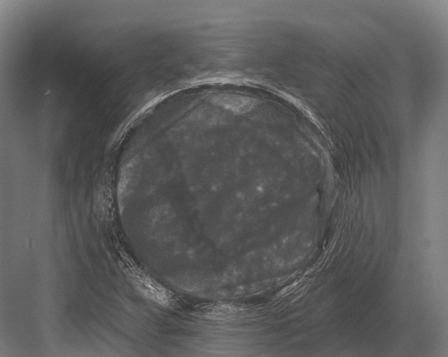 X0000082711359200702161805