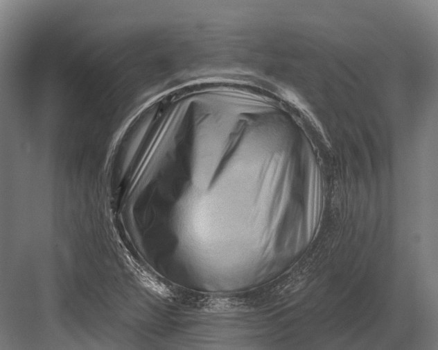 X0000082711360200702161805