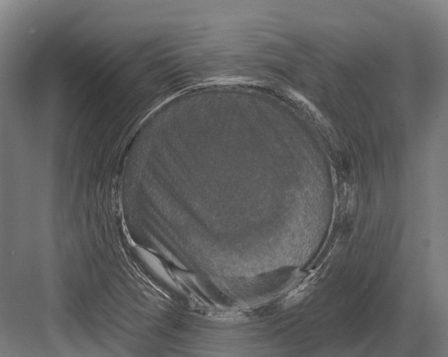 X0000082711361200702161805