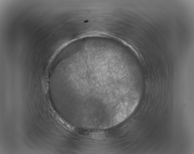 X0000082711363200702161805