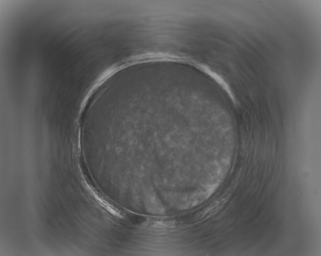 X0000082711365200702161805