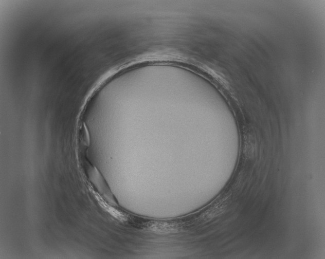 X0000082711366200702161805