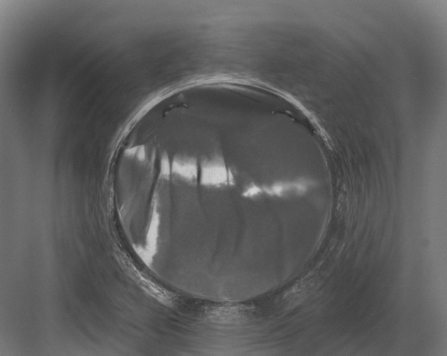 X0000082711367200702161805