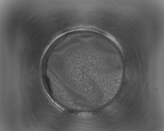 X0000082711368200702161804