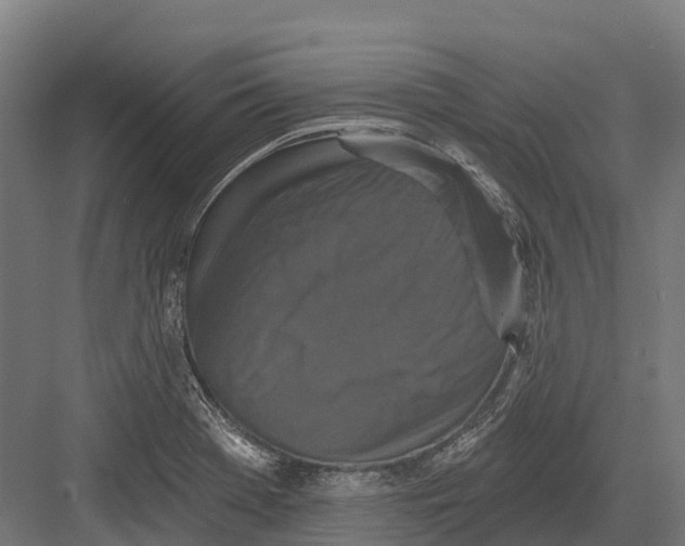 X0000082711369200702161804