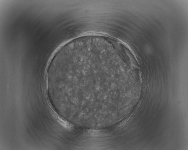 X0000082711371200702161804