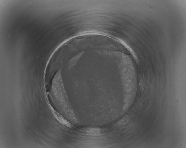 X0000082711372200702161804